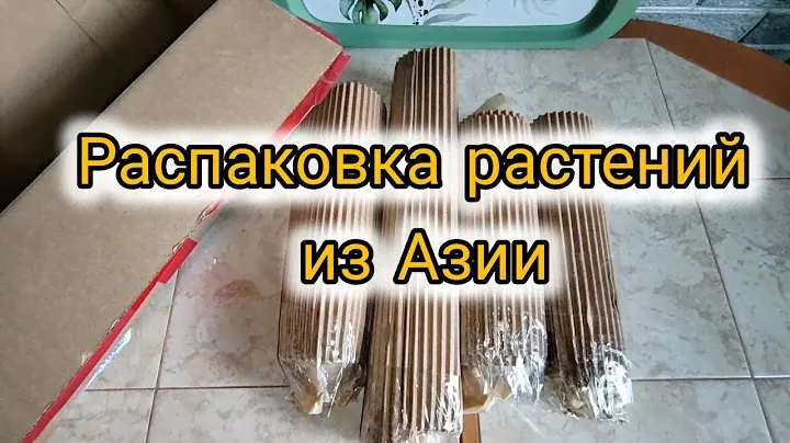 Распаковка посылки с новыми растениями из Азии