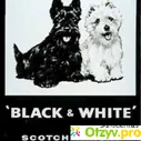 Виски black white - отзыв