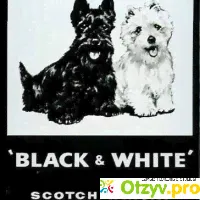 Виски black white - отзыв-0